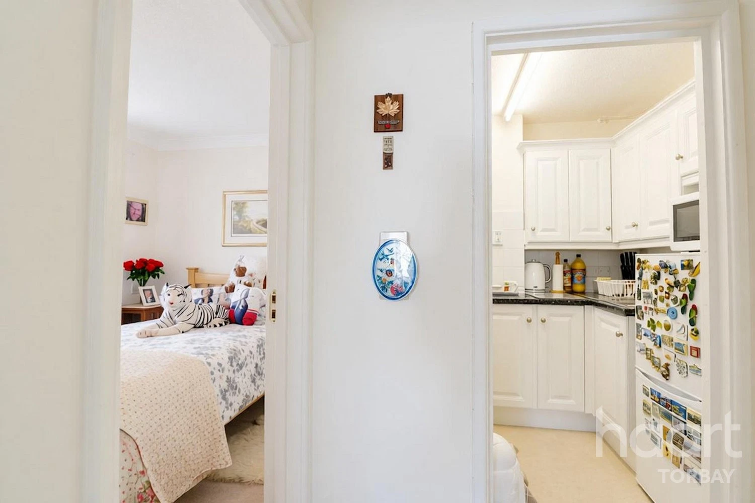 Fisher Street, Paignton, TQ4 - image 6