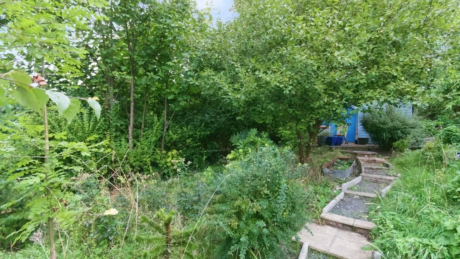 The Avenue, Brighton, East Sussex, BN2 - image 11