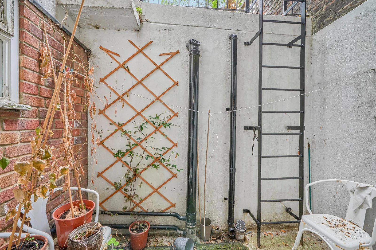 Barnsbury Street, Islington, London, N1 - image 15