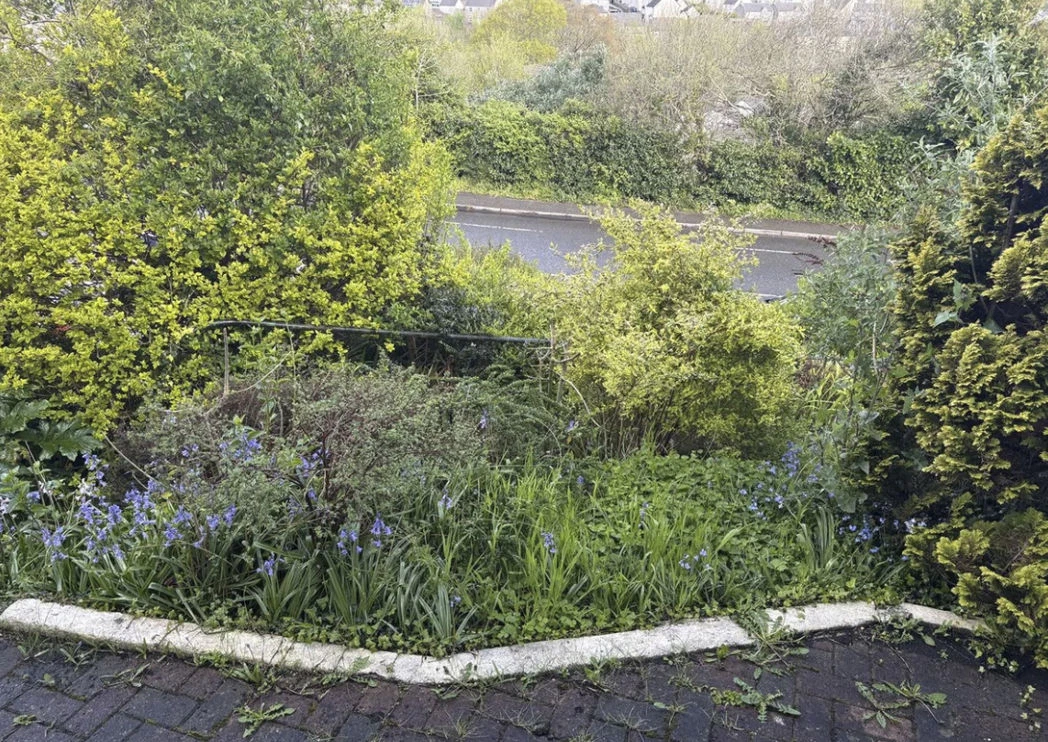 New Road, Saltash, Cornwall, PL12 6HL - image 12
