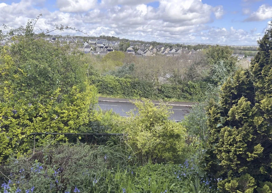 New Road, Saltash, Cornwall, PL12 6HL - image 13