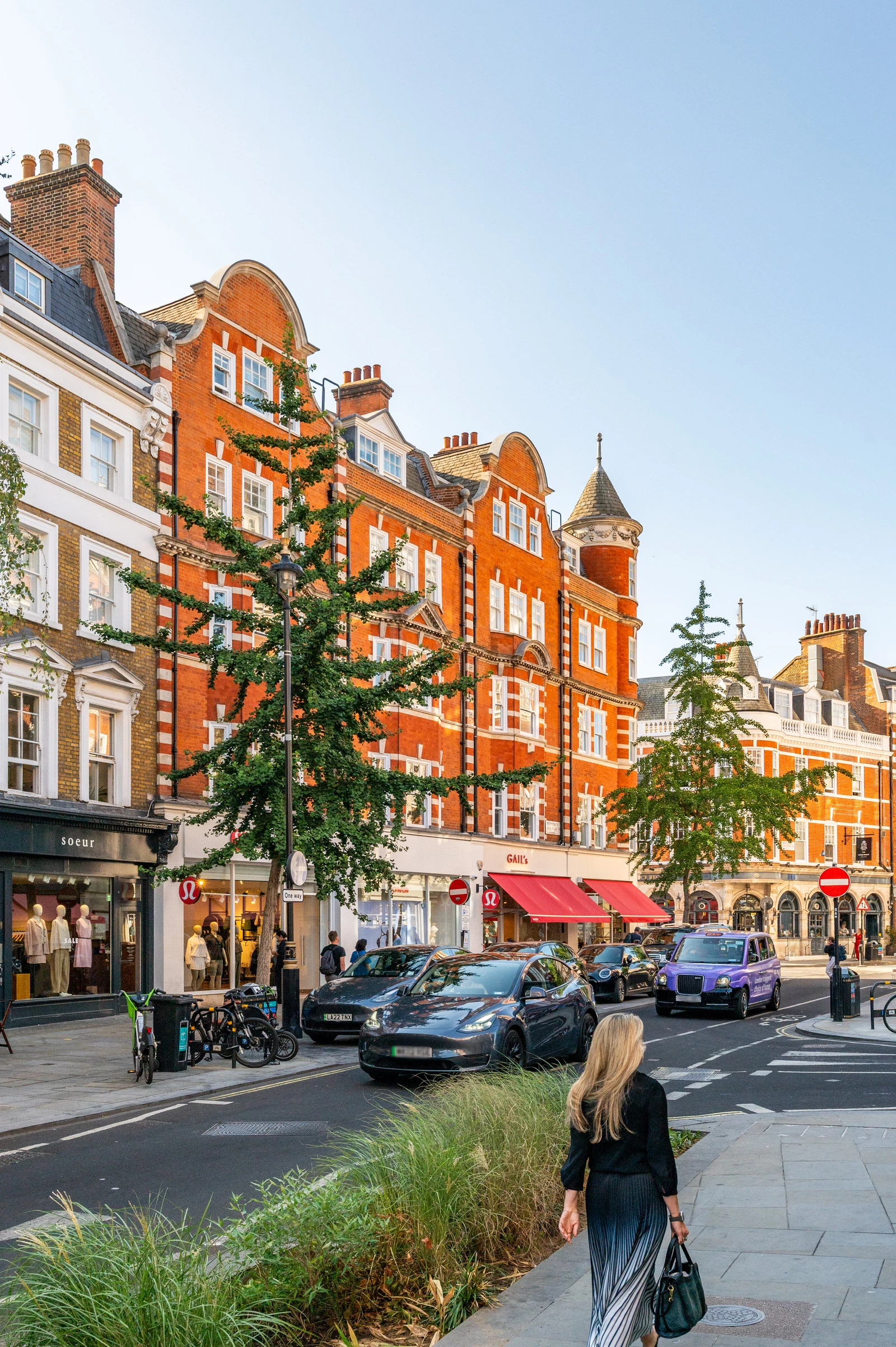 Wimpole Street, London, W1G - image 14