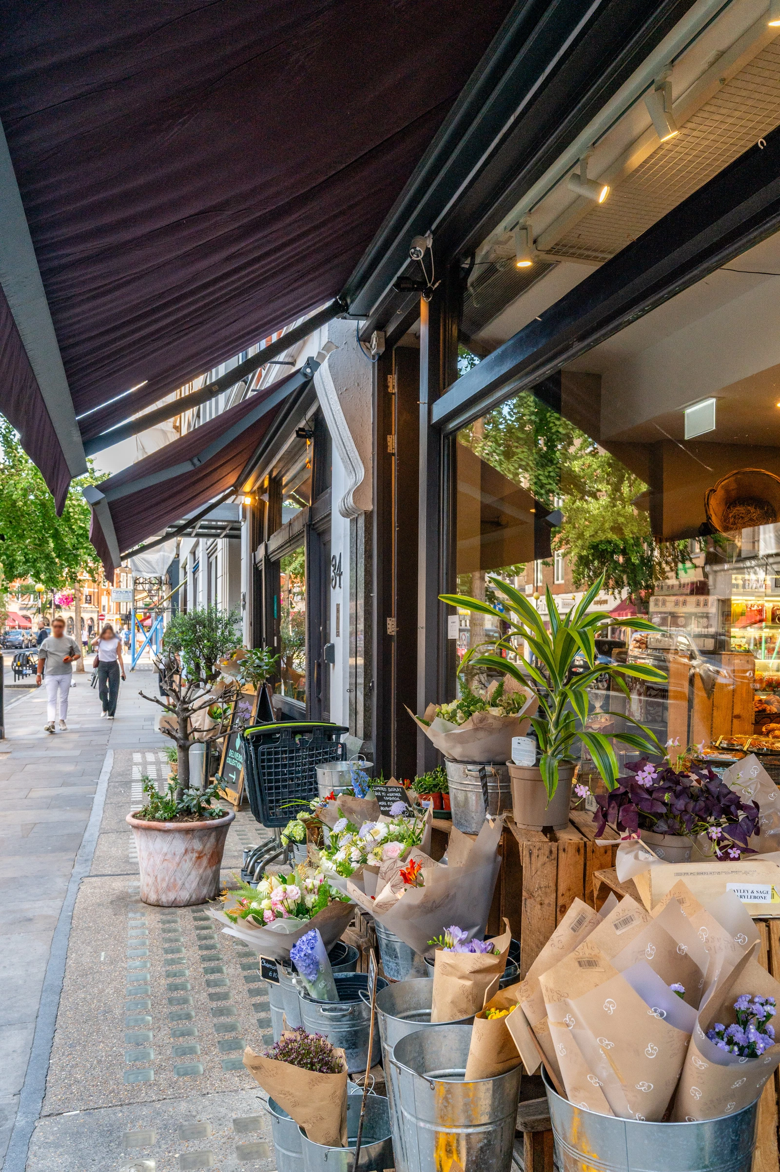 Wimpole Street, London, W1G - image 15