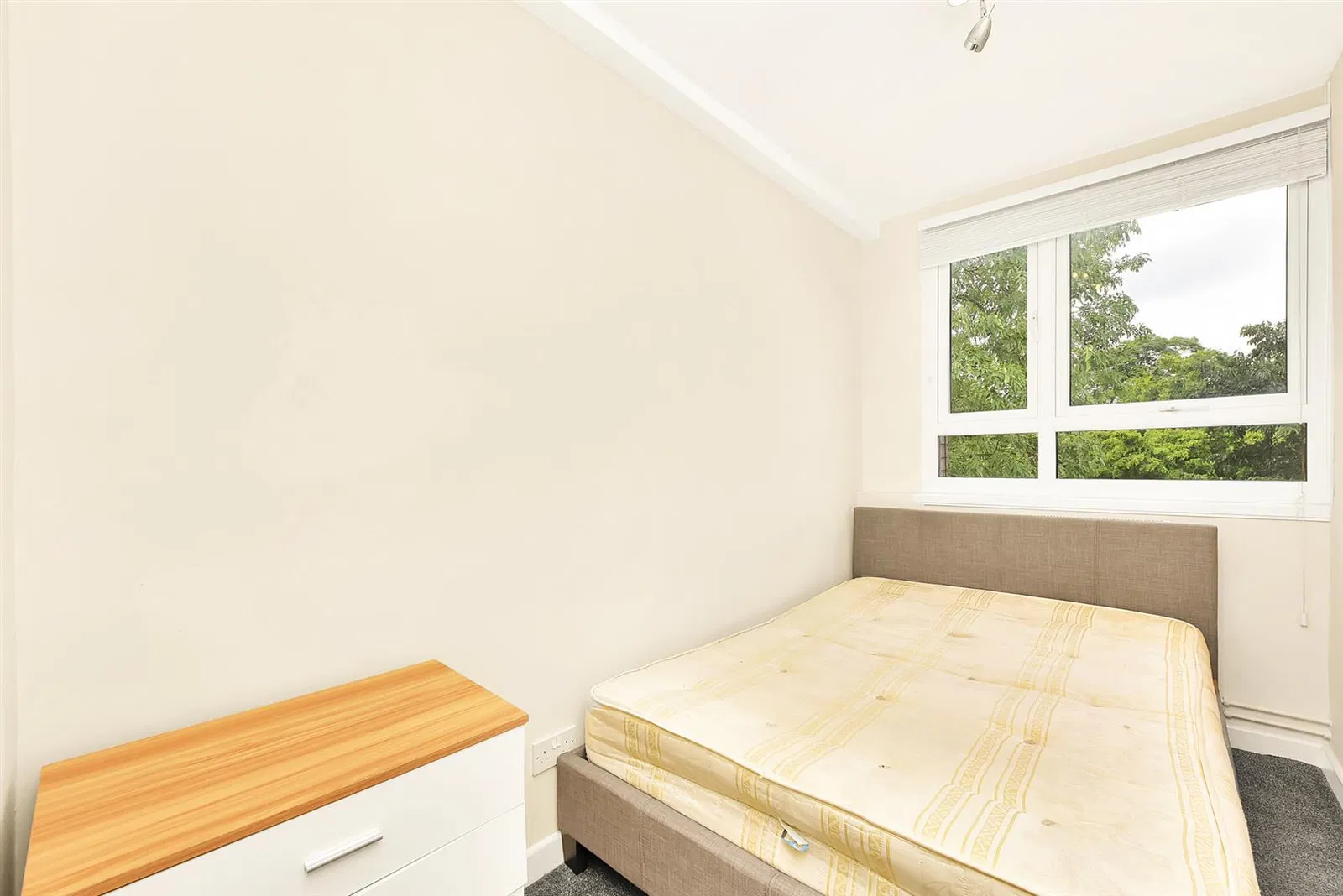 Palace Road, Tulse Hill - image 5
