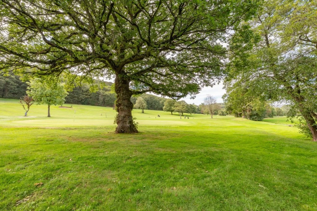 Bocking Lane, Sheffield, S8 7BH - image 34