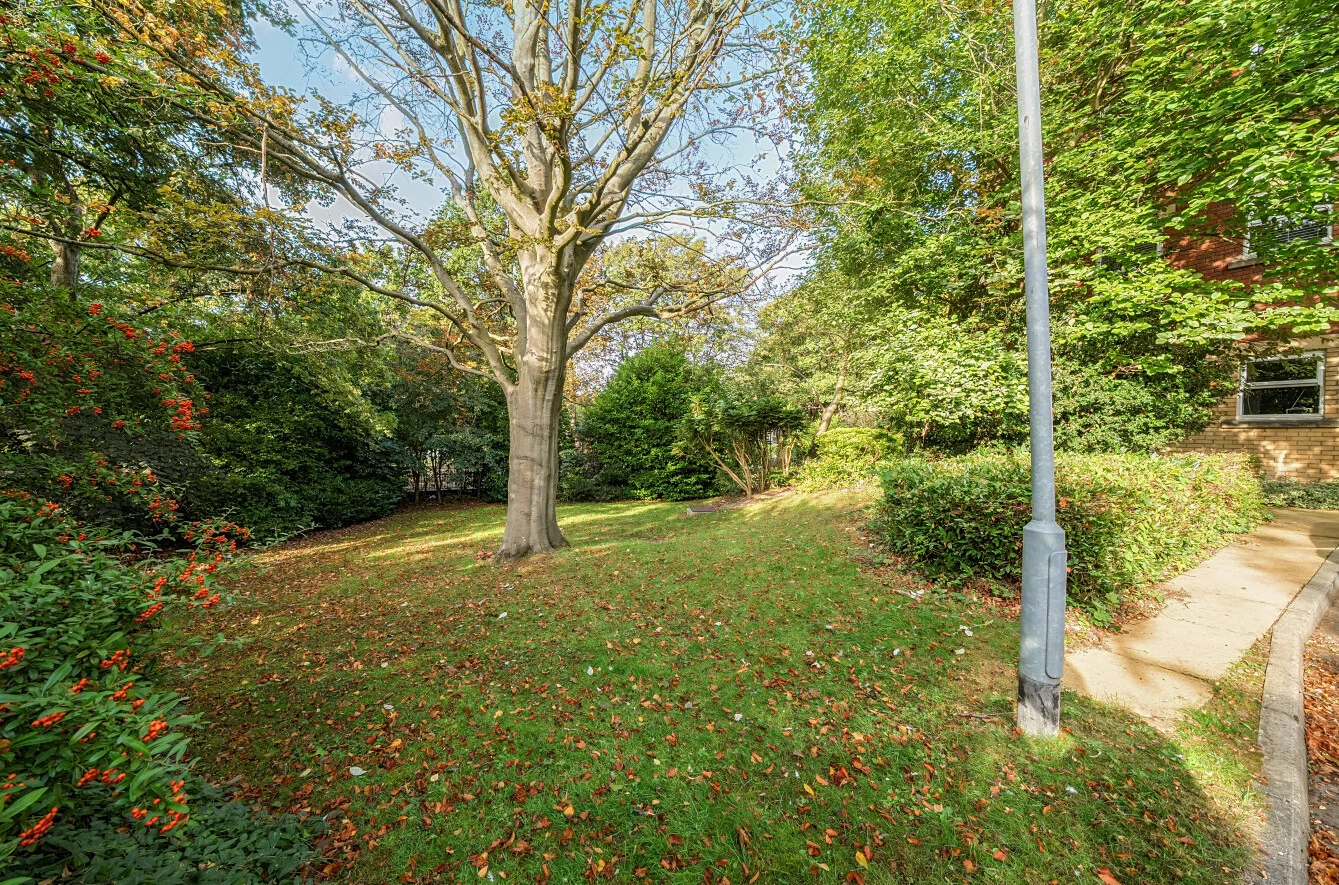 Cardigan Road, Headingley, Leeds, LS6 - image 20