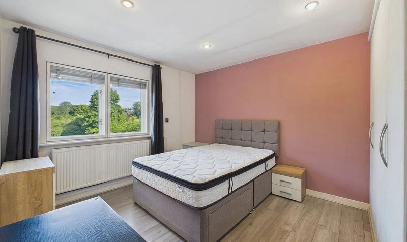 Hopkinson Court, New Crane Street, CH1 - image 7