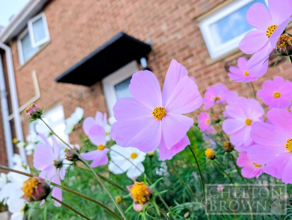 Norman Road, Rugby, Warwickshire, CV21 1DW - image 50