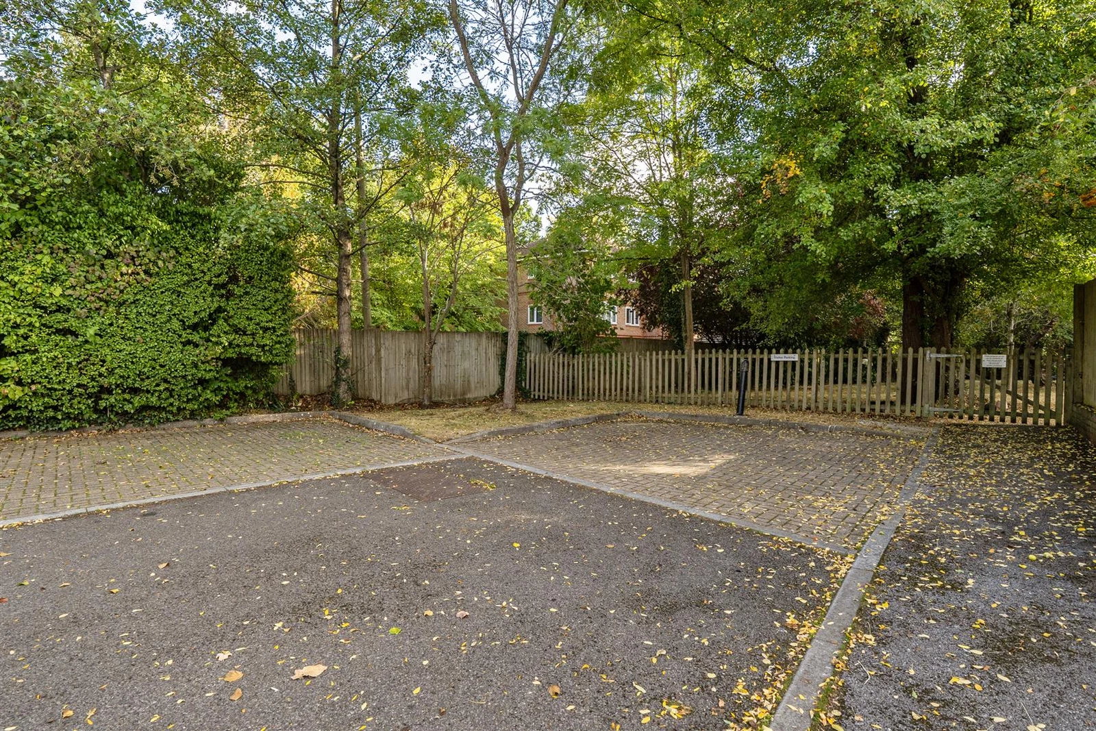 14 Drey House, Squirrel Walk, Wokingham, RG41 3AA - image 21