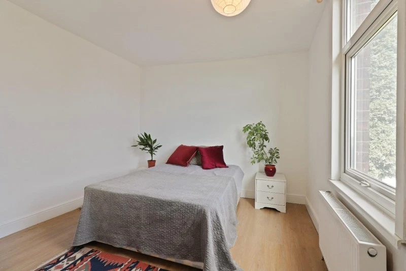 Crookes Road, Sheffield, S10 5BD - image 9