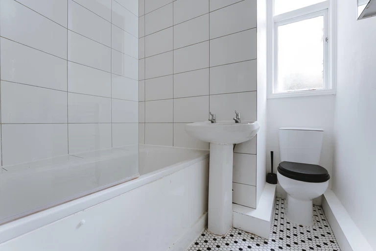 Albert Road, London, E10 - image 15